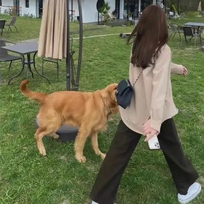 盟军敢死队